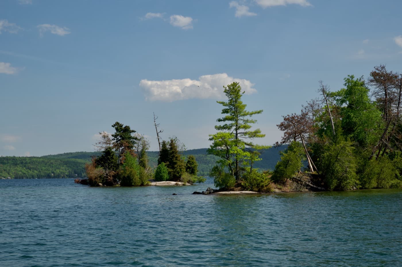 Wooded islets scattered across the northern waters