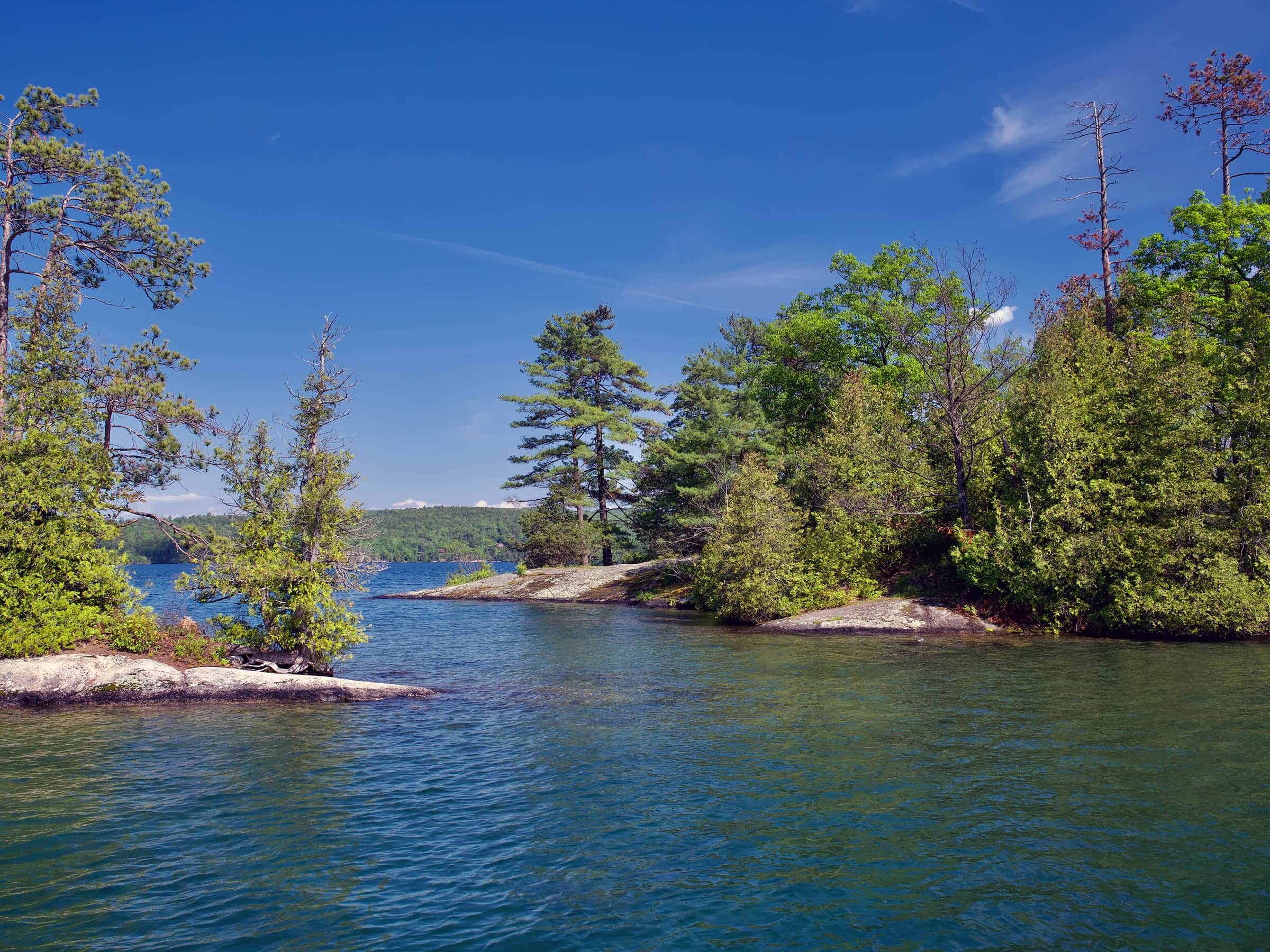 Clear blue-green water in a sheltered cove framed by pine-covered points on northern Lake George